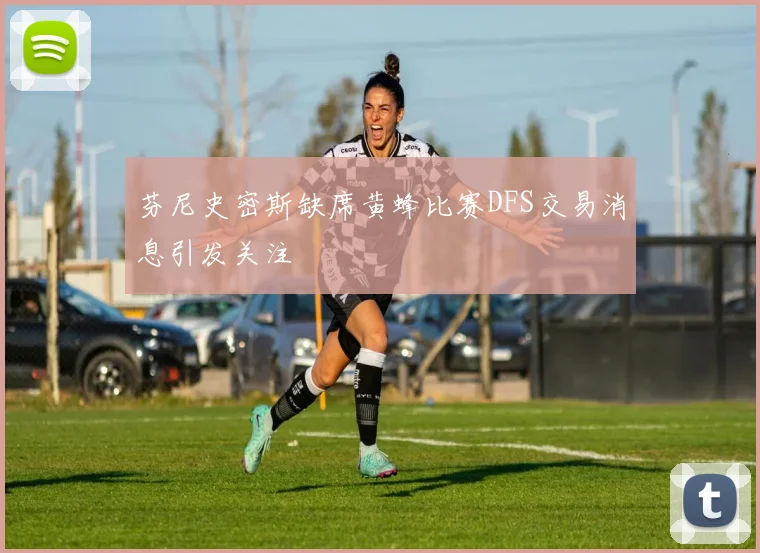 芬尼史密斯缺席黄蜂比赛DFS交易消息引发关注